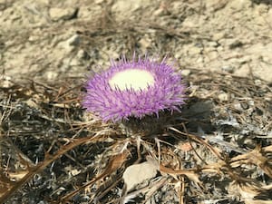 THE POWER OF INTENTION