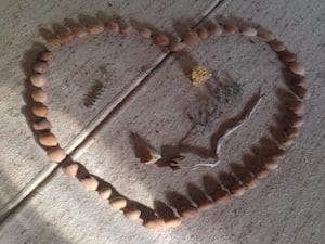 THE ART OF APPRECIATION