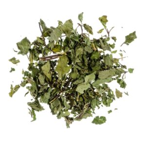 Peppermint Leaf (Mentha piperita)